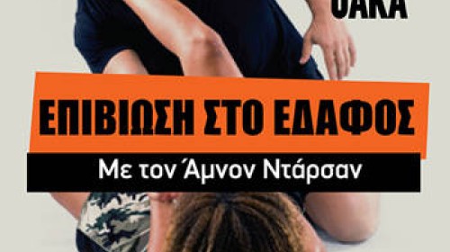 εικόνα άρθρου